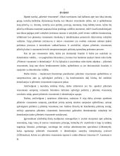 Pilietinė visuomenė ir demokratija 2 puslapis