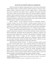 Pilietinė visuomenė ir demokratija 3 puslapis