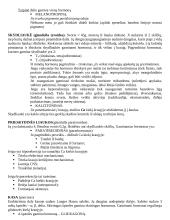 Hormoninių organizmo funkcijų reguliavimas 2 puslapis