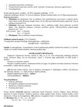 Hormoninių organizmo funkcijų reguliavimas 4 puslapis