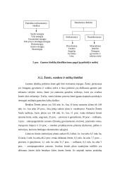 Gamtos ištekliai ir jų naudojimas 2 puslapis