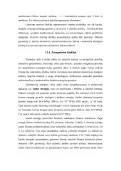 Gamtos ištekliai ir jų naudojimas 6 puslapis