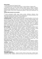 Geologiniai telkiniai 3 puslapis