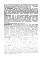 Geologiniai telkiniai 4 puslapis