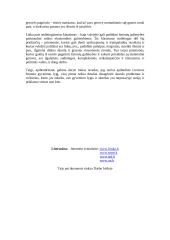 Gyvenimo lygis ir jo pagrindiniai rodikliai 8 puslapis