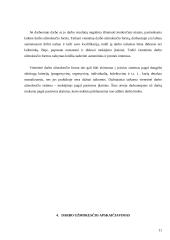 Darbo užmokesčio apskaičiavimas 11 puslapis