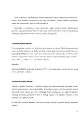 Darbo užmokesčio apskaičiavimas 14 puslapis