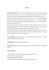Darbo užmokesčio apskaičiavimas 3 puslapis
