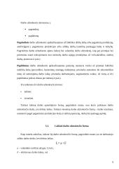 Darbo užmokesčio apskaičiavimas 9 puslapis