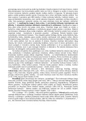 Gotikos kultūra ir architektūra 2 puslapis