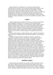 Histologija 4 puslapis