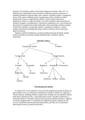 Histologija 5 puslapis