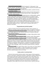 Histologija 6 puslapis