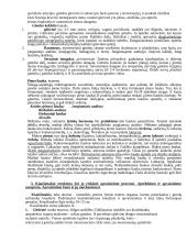 Šlapimo išskyrimo sistema 16 puslapis