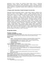 Šlapimo išskyrimo sistema 3 puslapis