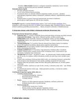 Šlapimo išskyrimo sistema 9 puslapis