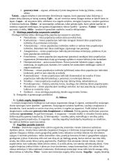 Holistinė gamtos reiškinių samprata 11 puslapis