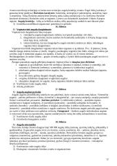 Holistinė gamtos reiškinių samprata 12 puslapis