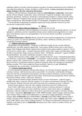 Holistinė gamtos reiškinių samprata 3 puslapis