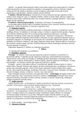 Holistinė gamtos reiškinių samprata 5 puslapis