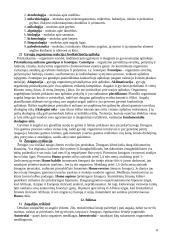 Holistinė gamtos reiškinių samprata 8 puslapis