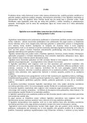 Ilgalaikio turto nusidėvėjimas