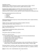 Informaciniai resursai 2 puslapis