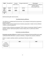Informaciniai resursai 13 puslapis