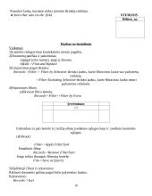 Informaciniai resursai 18 puslapis