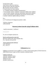 Informaciniai resursai 10 puslapis