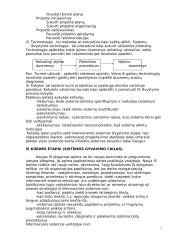 Informacinių sistemų planavimas, kūrimo strategija ir metodologija 2 puslapis