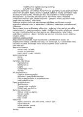 Informacinių sistemų planavimas, kūrimo strategija ir metodologija 5 puslapis