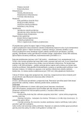 Informacinių sistemų planavimas, kūrimo strategija ir metodologija 6 puslapis