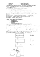 Informacinių sistemų planavimas, kūrimo strategija ir metodologija 8 puslapis