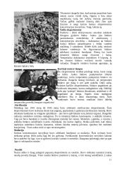 Mokslinių tyrimų etinės nuostatos. 12 puslapis