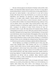 Institucionalizacija 2 puslapis