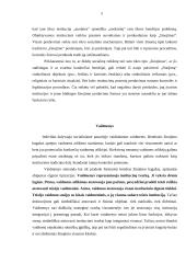 Institucionalizacija 5 puslapis