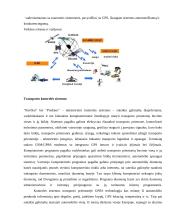 Intelektualizuotos transporto sistemos 14 puslapis