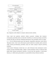 Intelektualizuotos transporto sistemos 6 puslapis