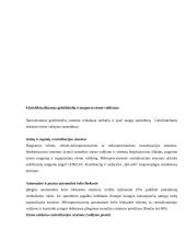 Intelektualizuotos transporto sistemos 8 puslapis