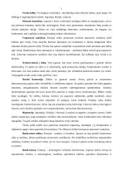 Japonijos, Kinijos ir Lietuvos verslo etika 2 puslapis