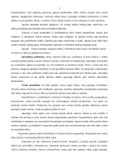 Japonijos, Kinijos ir Lietuvos verslo etika 3 puslapis