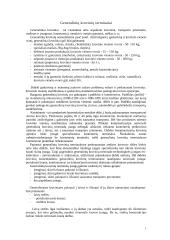 Jurų uostų terminalų rūšys