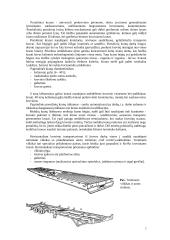 Jurų uostų terminalų rūšys 2 puslapis