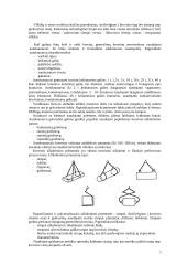 Jurų uostų terminalų rūšys 3 puslapis