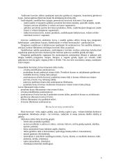 Jurų uostų terminalų rūšys 4 puslapis