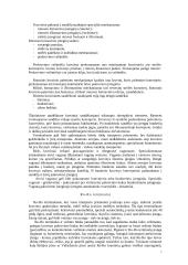 Jurų uostų terminalų rūšys 7 puslapis