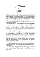 Jurų uostų terminalų rūšys 10 puslapis