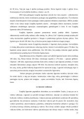 Organizacijos valdymo metodai ir jų taikymas Gargždų ligoninėje 14 puslapis