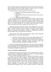 Kapitalo rinka 2 puslapis